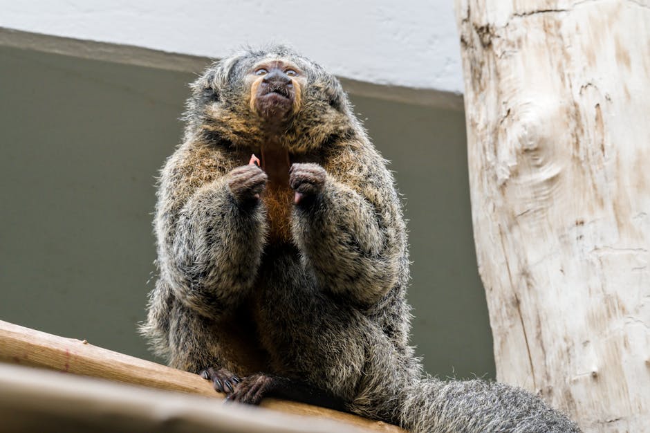 Unconventional primate in nature