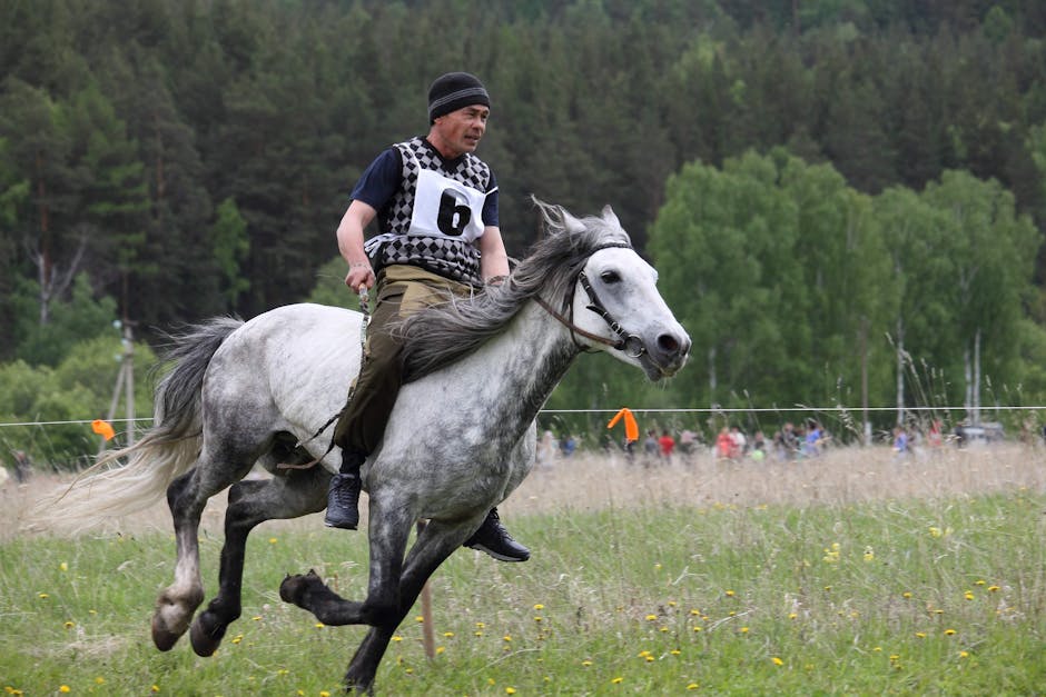 Rider on white horse
